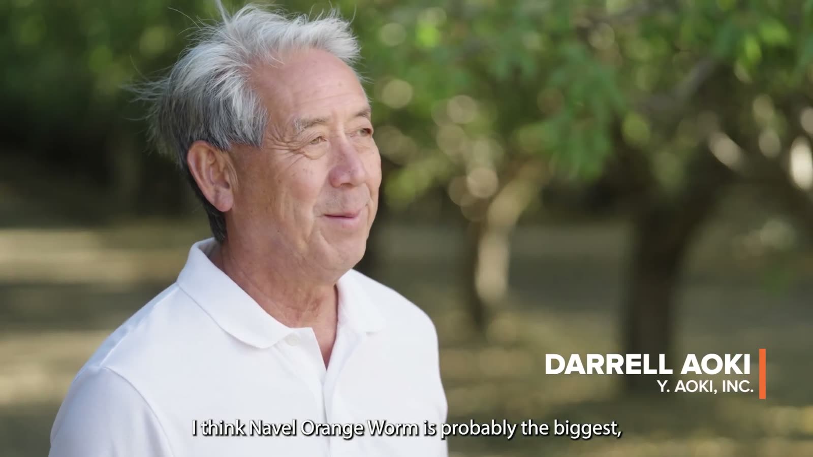 Darrell Aoki — grower story
