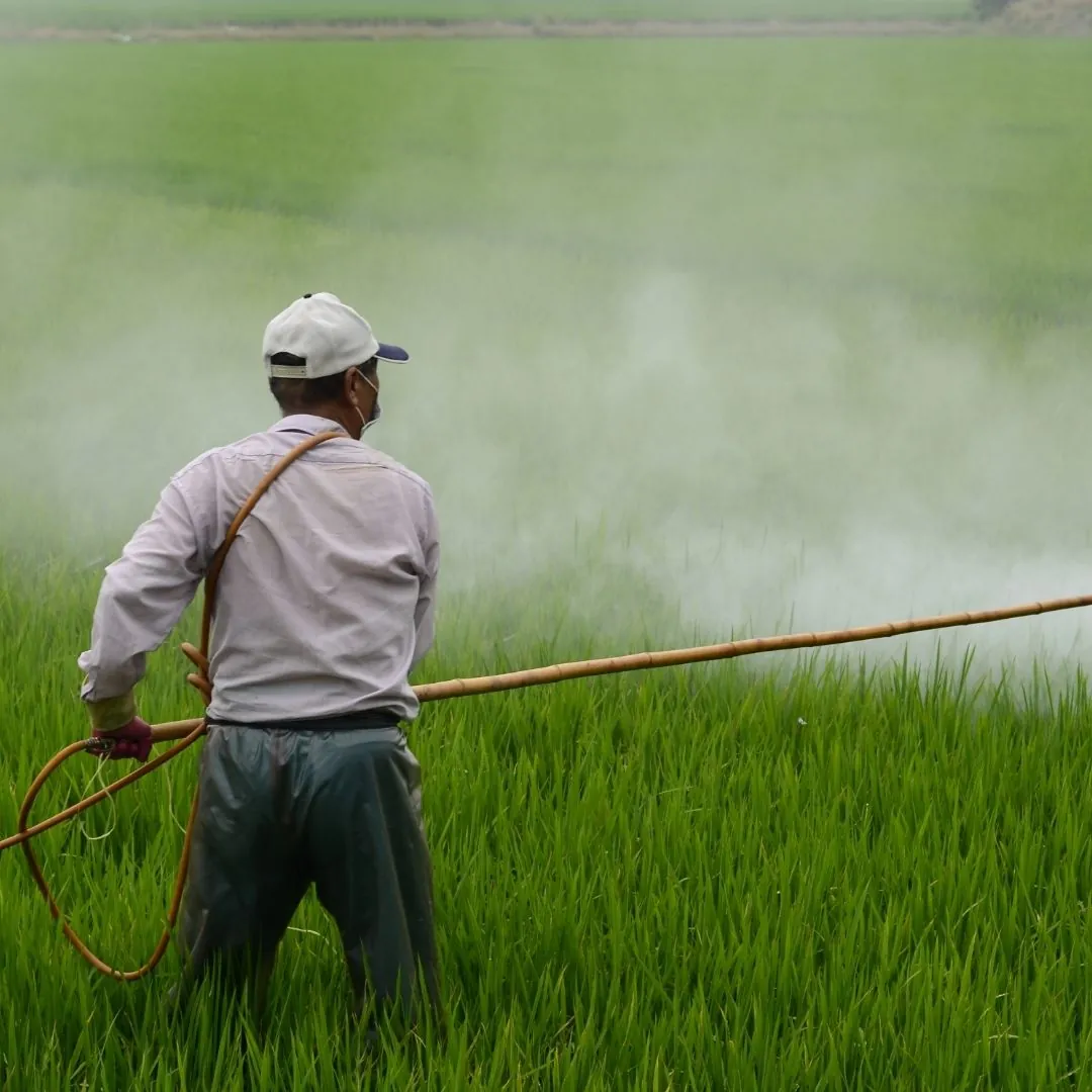 Improving the Efficiency of Your Pesticides