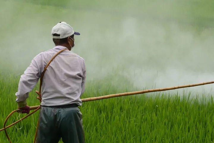 Improving the Efficiency of Your Pesticides