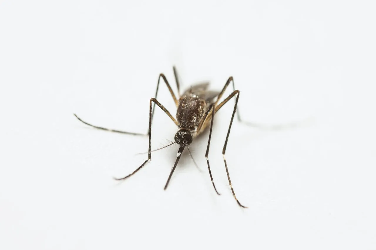 More Than Just a Bite | Why Mosquito Awareness Matters in Commercial Agriculture
