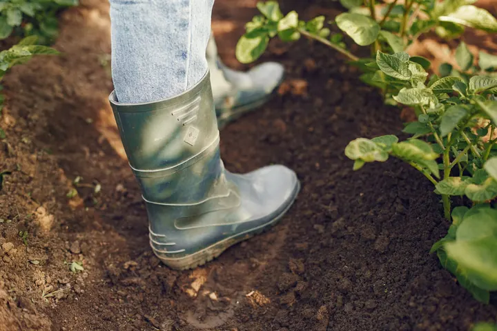 (Part I) The Enchanting Region Between Seed and Shelf – An Introduction to Regenerative Agriculture and Biosequestration